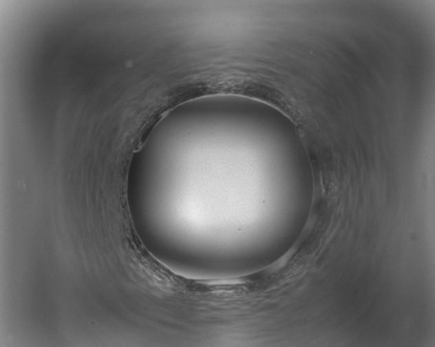 X0000060231153200511041223