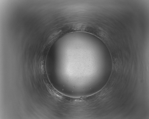 X0000060231154200511041223