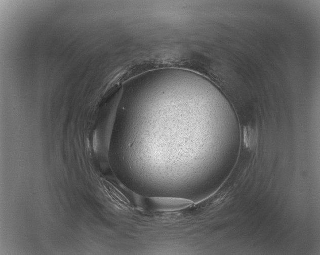 X0000060231155200511041223