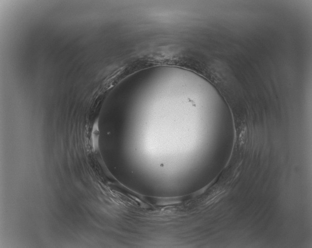 X0000060231156200511041223