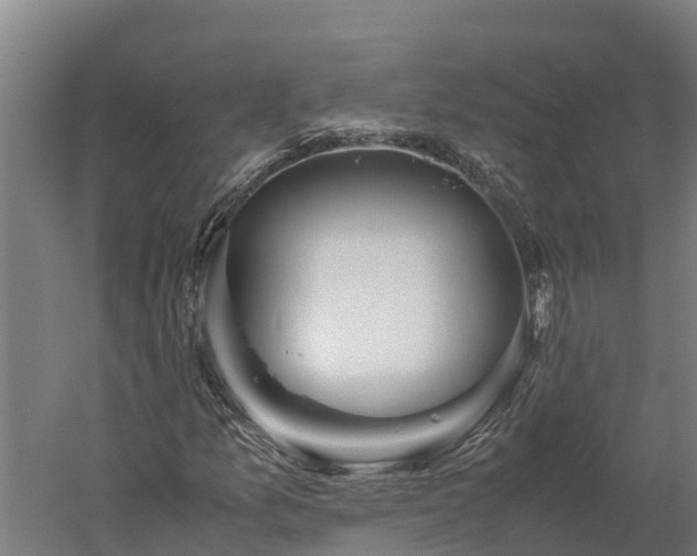 X0000060231157200511041223