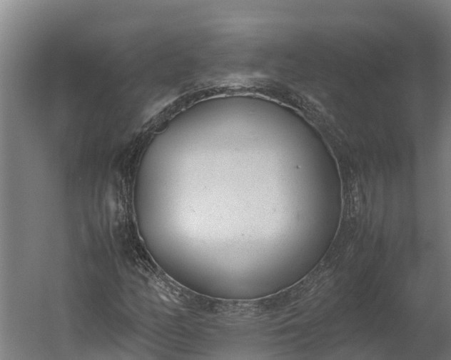 X0000060231158200511041223