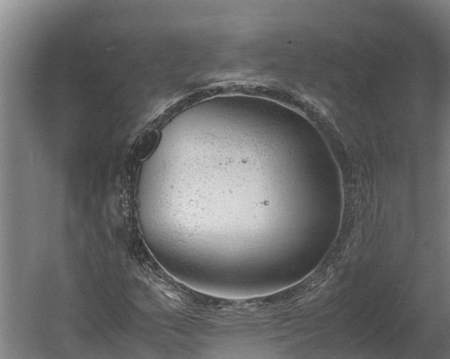 X0000060231159200511041223