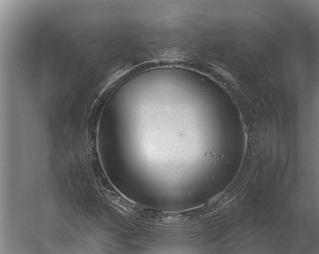 X0000060231160200511041223