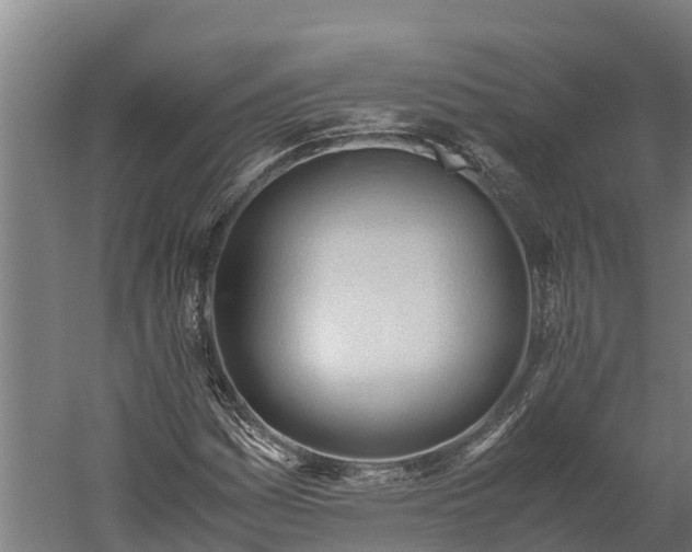 X0000060231161200511041223