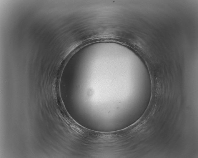 X0000060231162200511041223