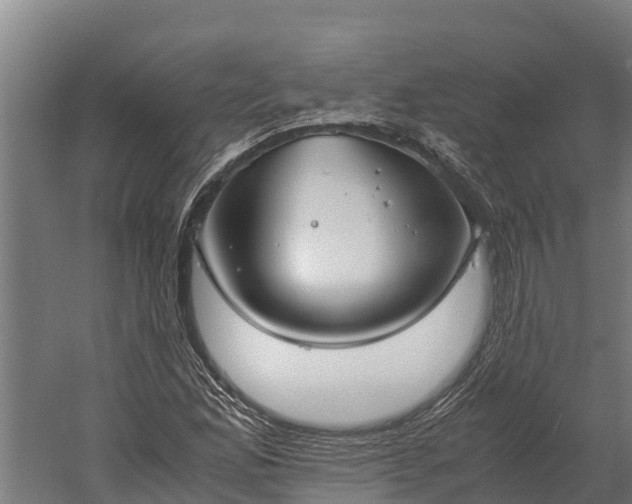 X0000060231165200511041223