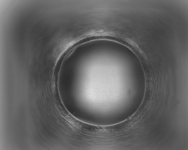 X0000060231167200511041223