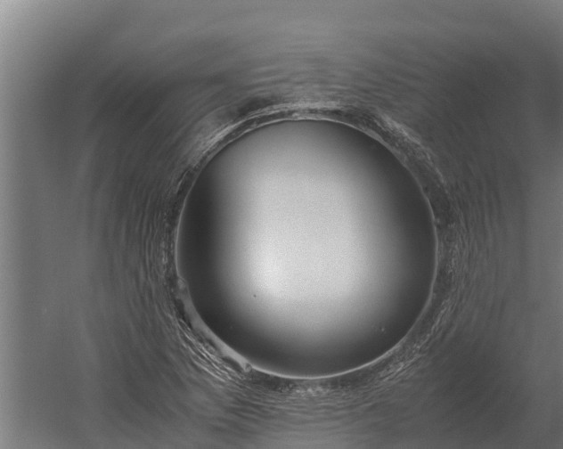 X0000060231169200511041223