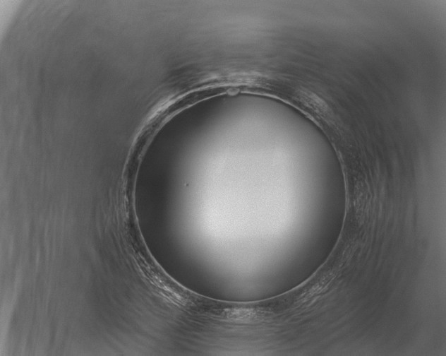 X0000060231172200511041223