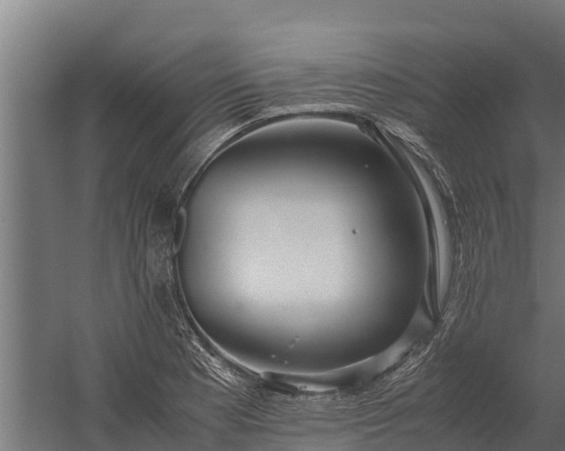 X0000060231177200511041223