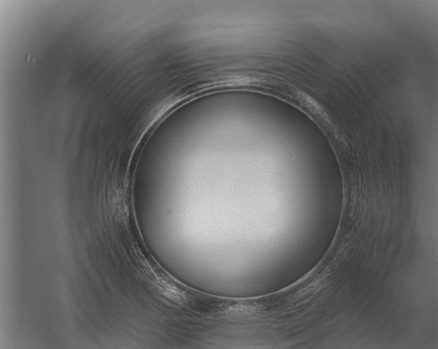 X0000060231178200511041223