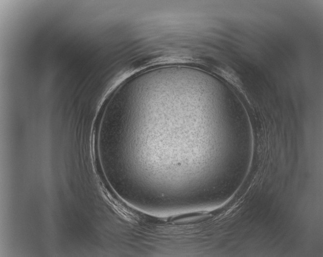 X0000060231179200511041223