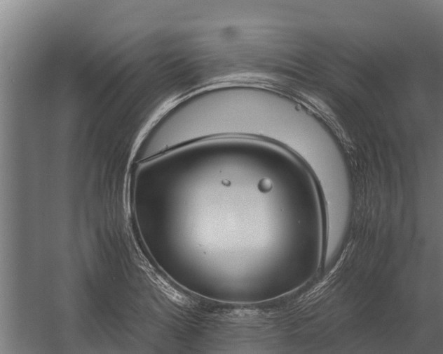 X0000060231180200511041223