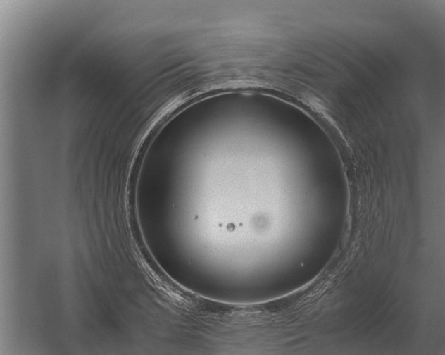 X0000060231181200511041223