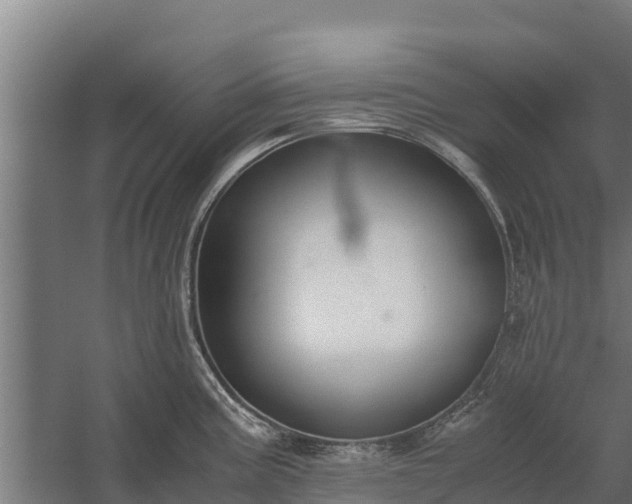 X0000060231195200511041222