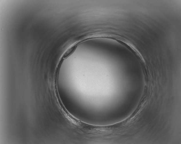 X0000060231197200511041222