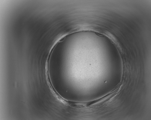 X0000060231198200511041222