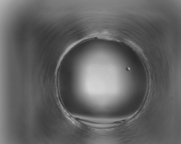 X0000060231200200511041222