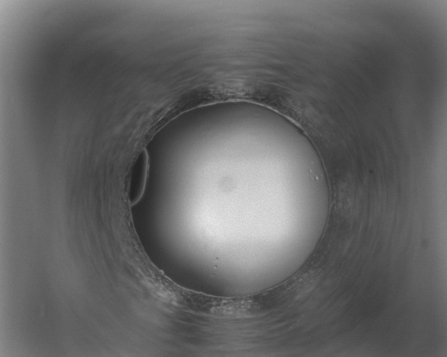 X0000060231201200511041222