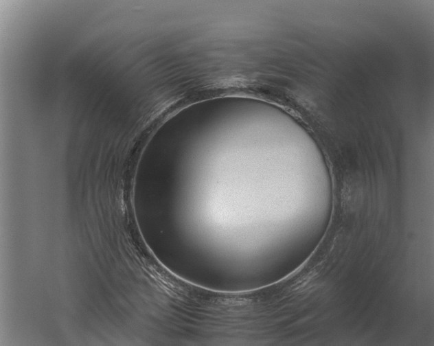 X0000060231209200511041222