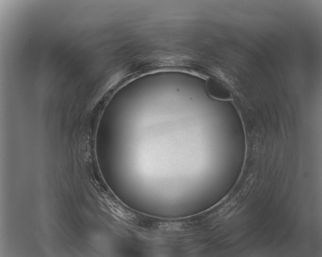 X0000060231211200511041222