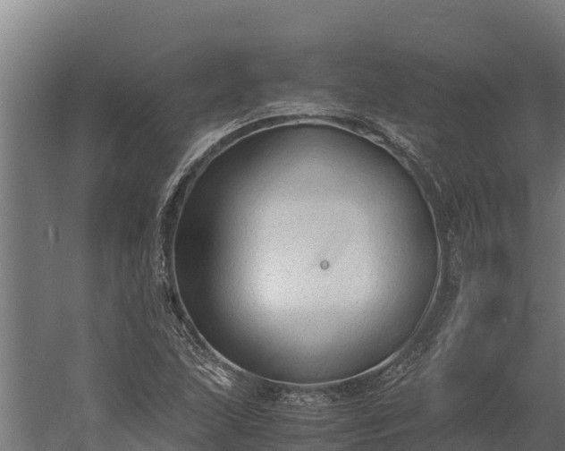 X0000060231215200511041222