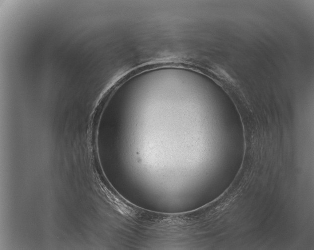 X0000060231216200511041222