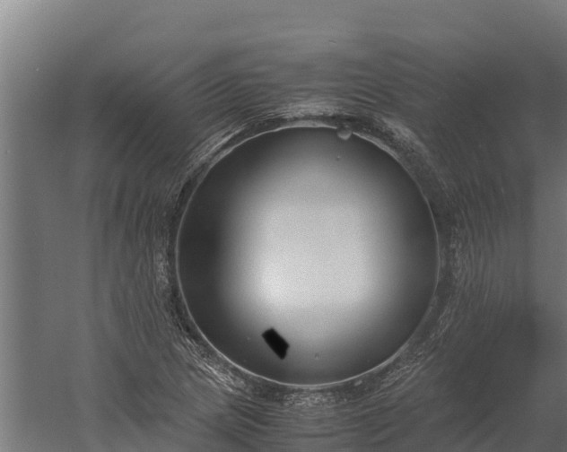 X0000060231217200511041222