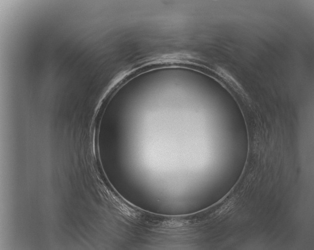 X0000060231224200511041222