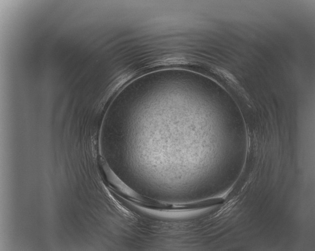 X0000060231225200511041222