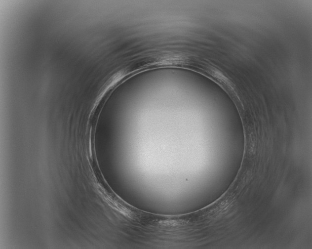 X0000060231227200511041222