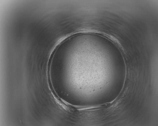 X0000060231231200511041222