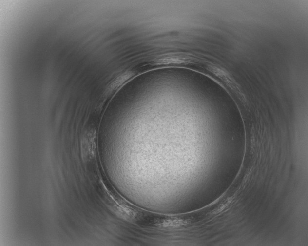 X0000060231233200511041222