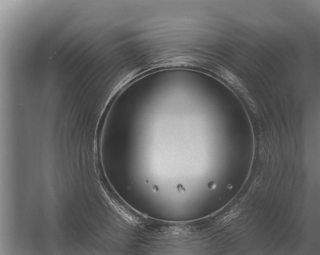 X0000060231234200511041222