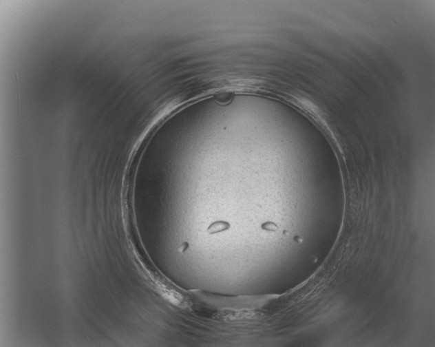 X0000060231235200511041222