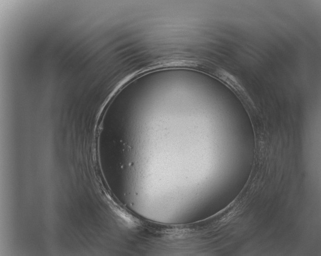 X0000060231236200511041222