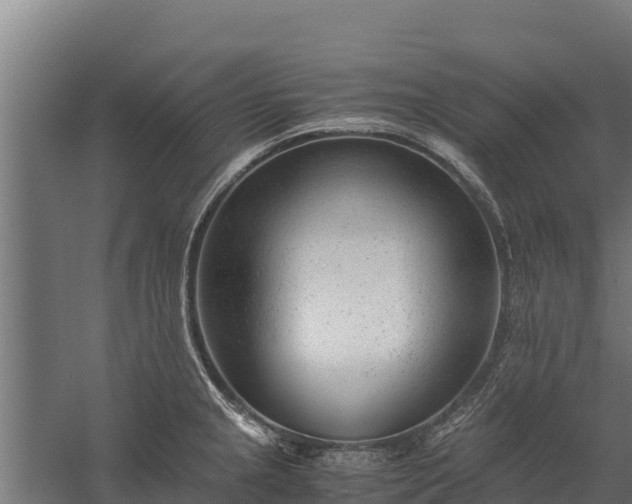 X0000060231237200511041222