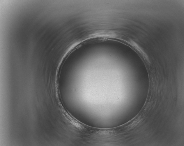 X0000060231240200511041222