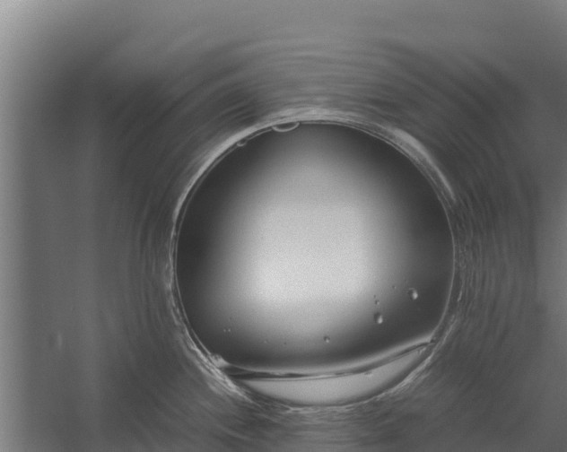 X0000060231244200511041222