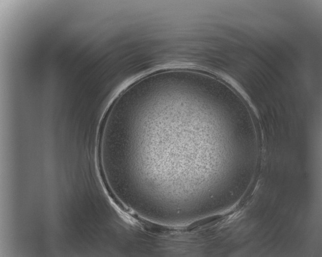 X0000060231245200511041222