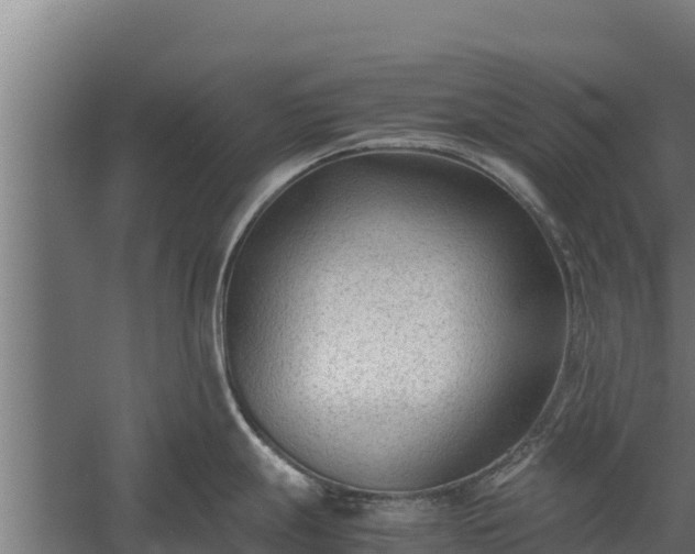 X0000060231247200511041222