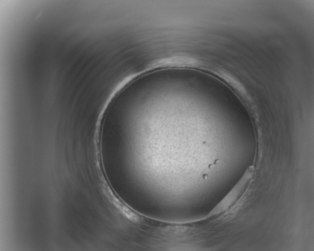 X0000060231248200511041222