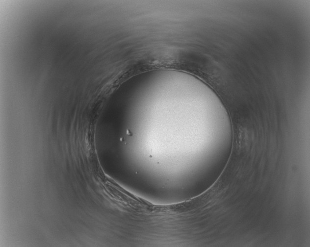 X0000060231250200511041221