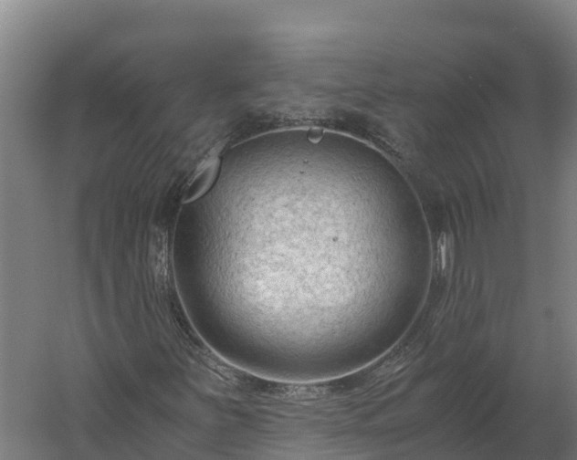 X0000060231251200511041221