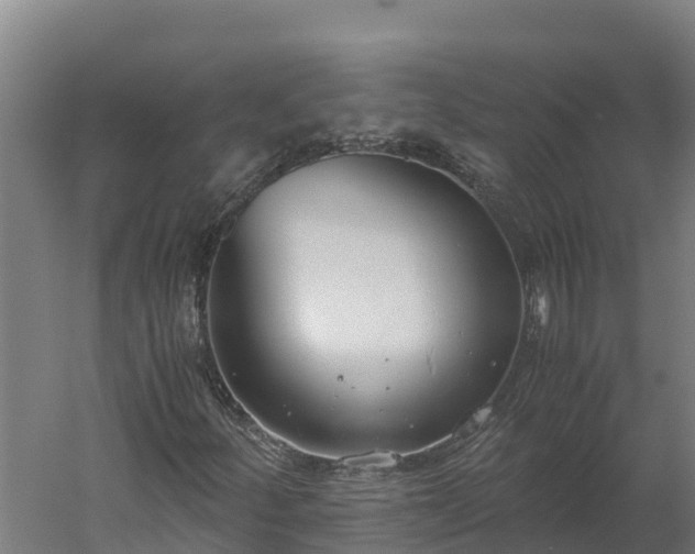 X0000060231252200511041221