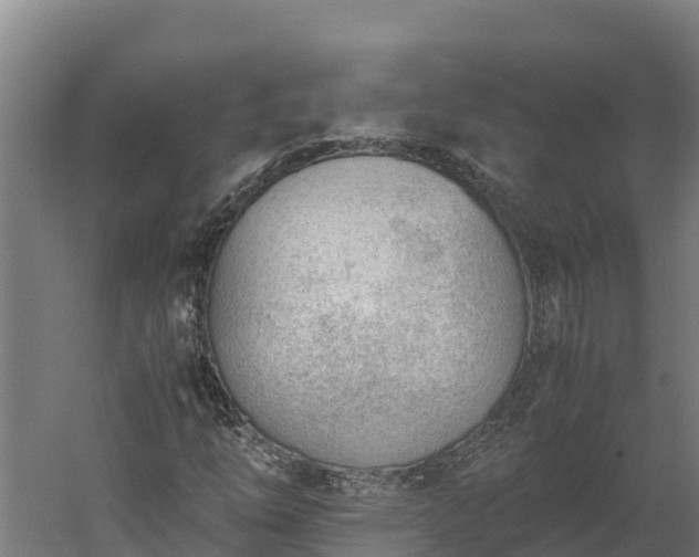 X0000060231254200511041221