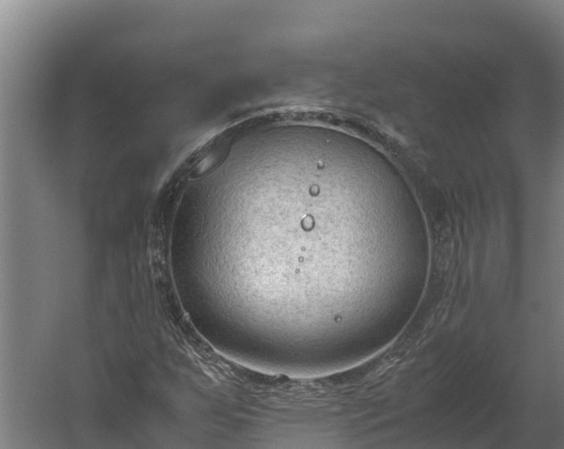 X0000060231255200511041221