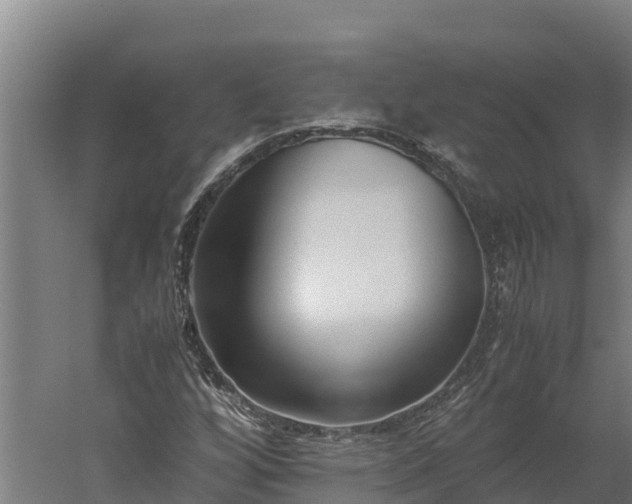 X0000060231256200511041221