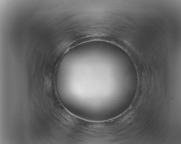 X0000060231257200511041221